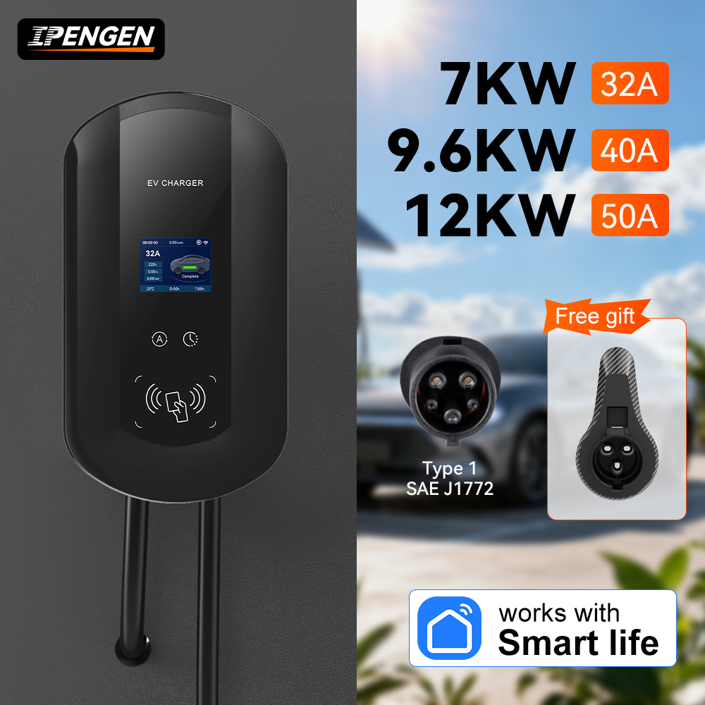 Estación de Carga para Vehícul - Ev Charger Wallbox reseña y precio